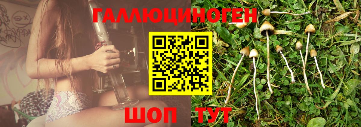 Киреевск  где можно купить наркотик  Вход с VPN  Псилоцибиновые грибы Psilocybe 