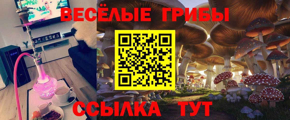 Псилоцибиновые грибы мицелий Киреевск